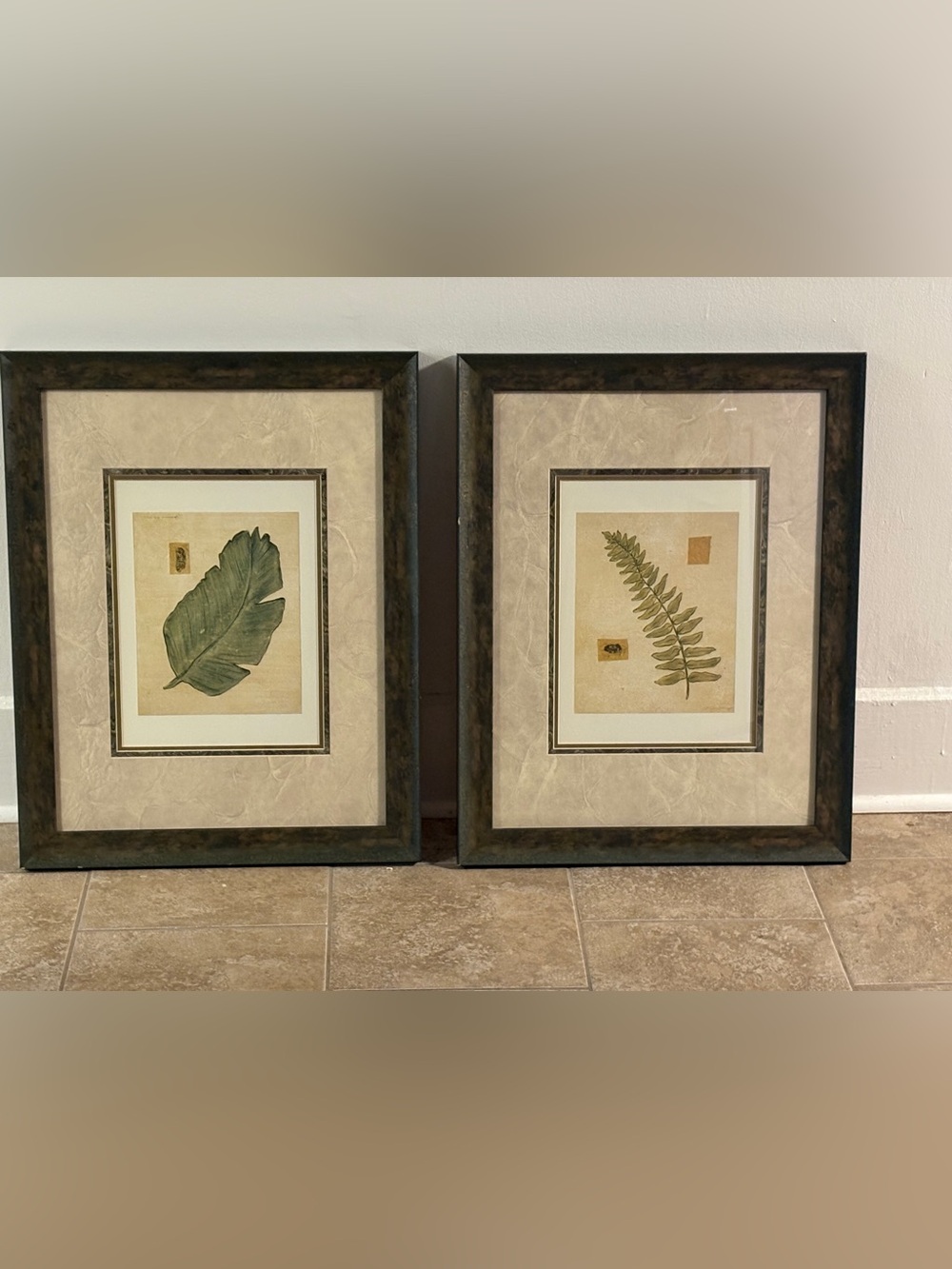 "Vintage Gene Murray Framed Botanical Art Prints - Set of 2"